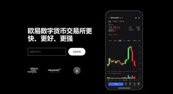 oe交易下载系统展示图